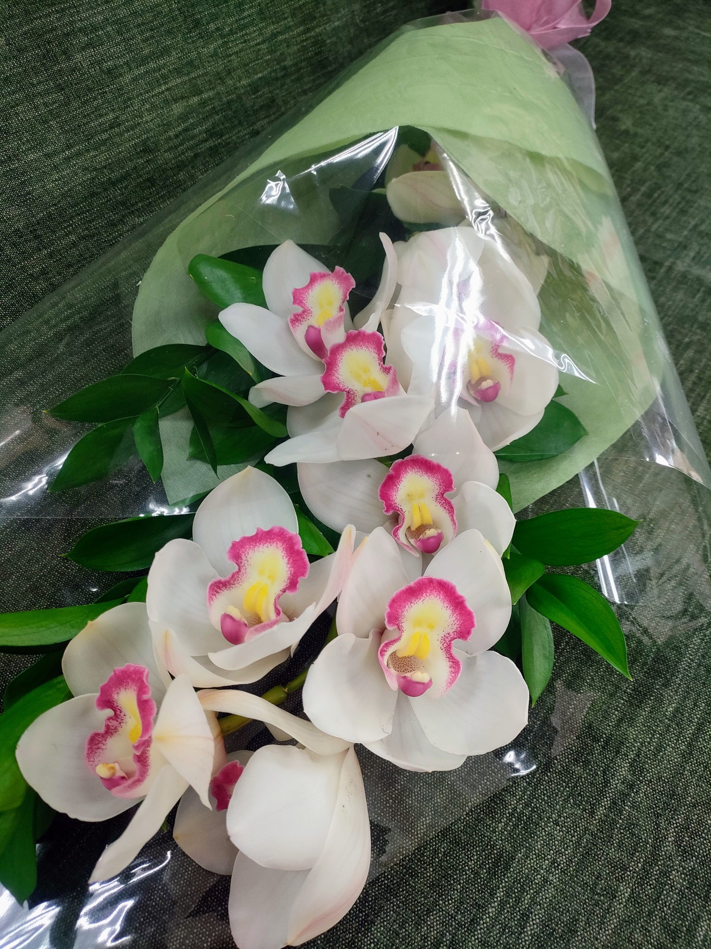 Long Orchid Stem