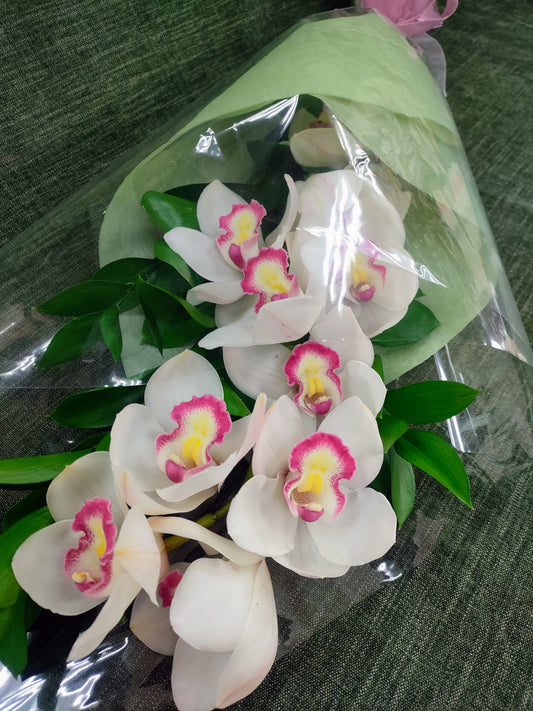 Long Orchid Stem